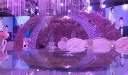 菏泽婚庆媒体爆料最新,浪漫婚礼背后的秘密大揭秘！